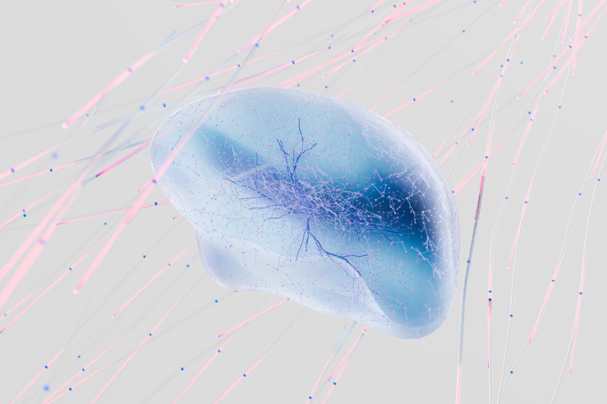 Article 03 Bdnf Neuroplasticity