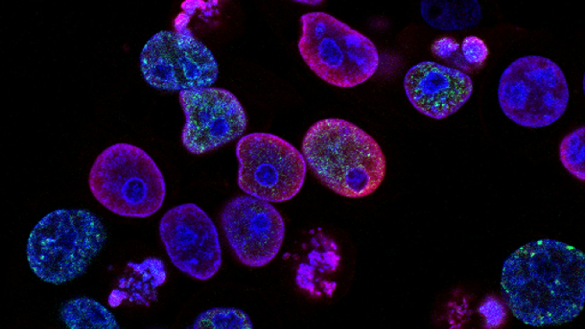 Molecular structures and light patterns representing psilocybin dosing science