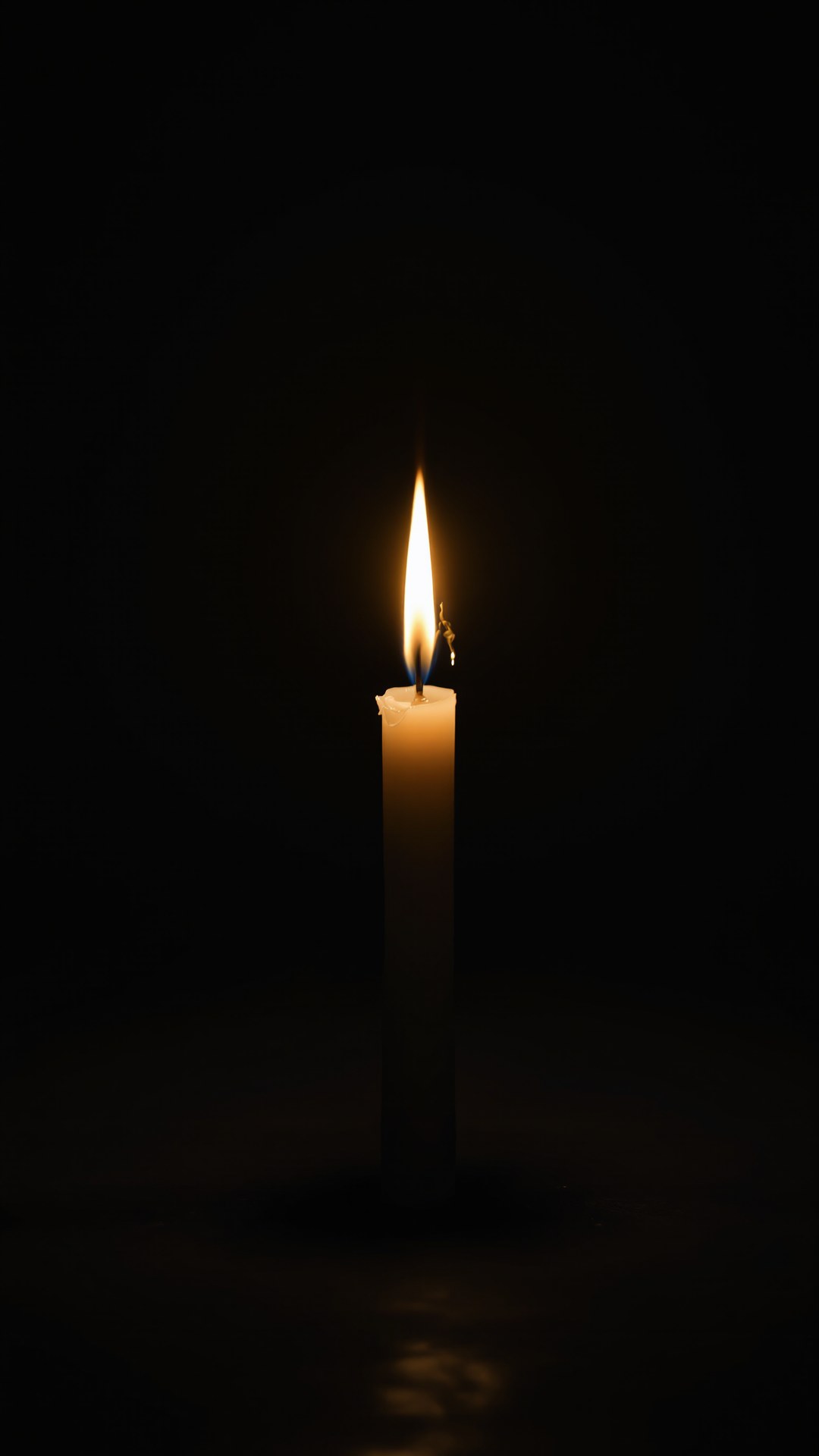 Psilocybin and Grief: The Neuroscience of Healing What Cannot Be Fixed — Instagram story