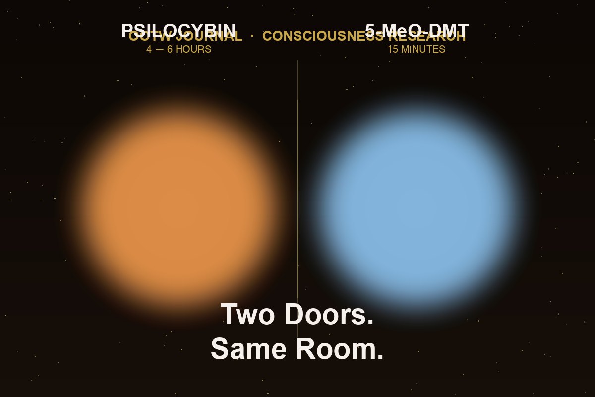 5-MeO-DMT vs psilocybin neuroscience — pharmacology, mystical experience, clinical comparison