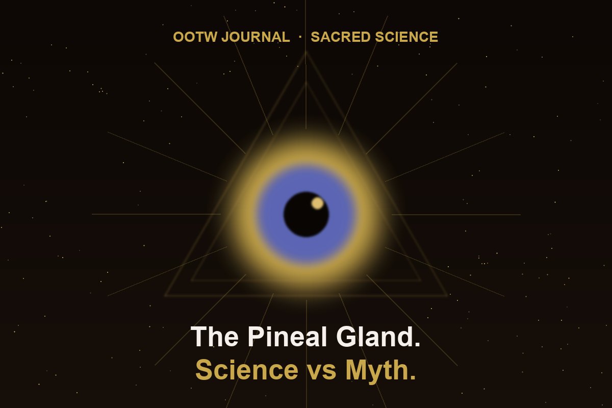 Pineal gland abstract — third eye, melatonin, endogenous DMT, sacred geometry